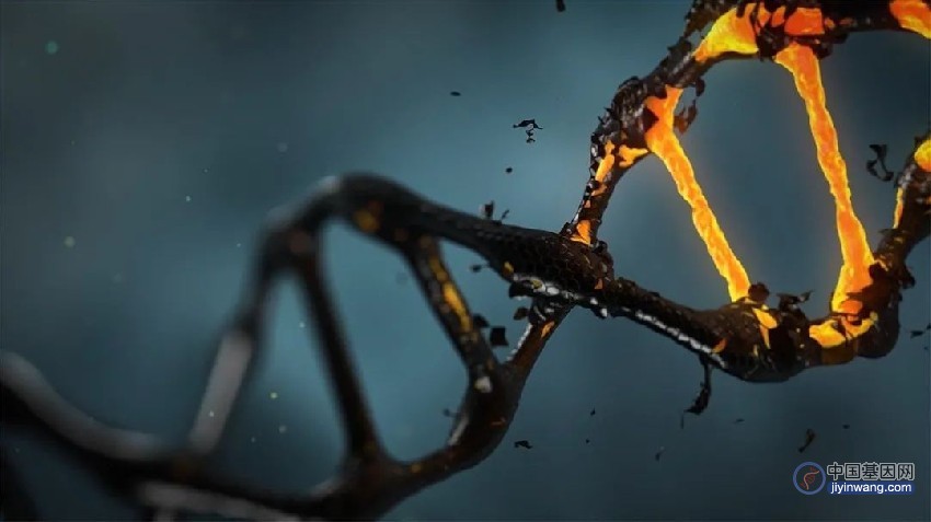 Mol Cell：DNA双链断裂引起基因组插入发生的分子机制