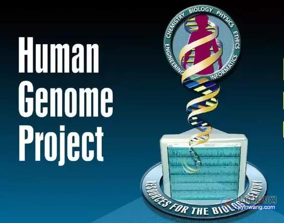 生命演化研究中心最新成果：自主构建首个人类二倍体完整基因组
