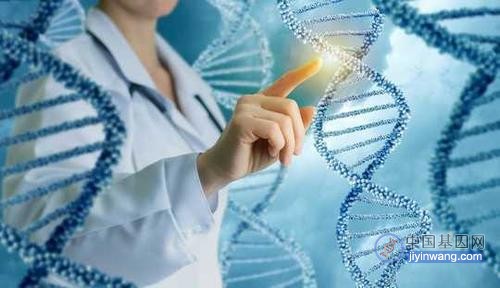 对基因组的认识和理解进入崭新时代，人类完整基因组大尺度结构变异