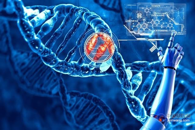 生物经济时代的 “精准医学”，“基因检测”迎来新发展机遇