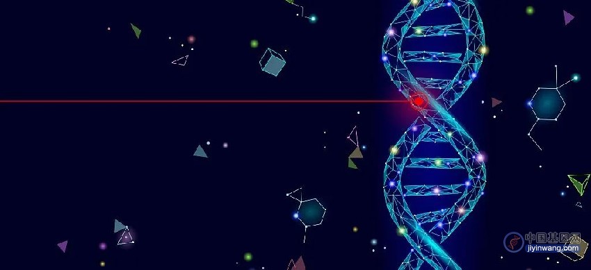 胡家志团队揭示黏连蛋白Cohesin功能缺失导致致癌基因突变的分子