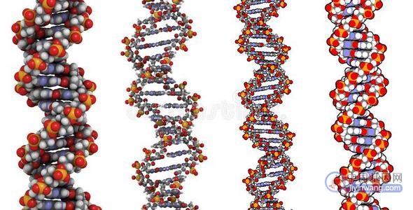 科学家捕获合成DNA原子视图 有助研究可治疗疾病的“分子剪刀”