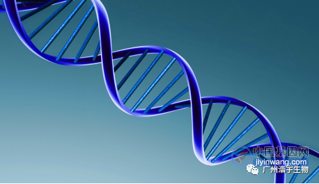 基因甲基化检测和基因检测的区别：检测对象、方法、目的都不同