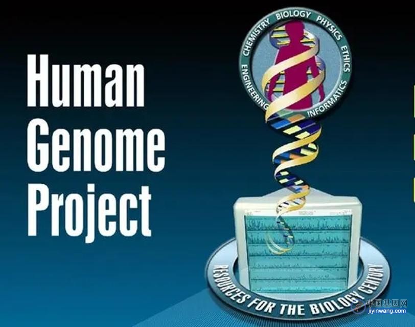 人类基因组计划后：“无用”DNA的隐藏价值被发掘，治疗癌症的新角度