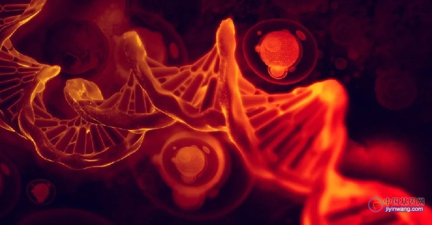 Science：注射一针mRNA，直接在体内编辑造血干细胞，无需骨髓移植，让基因治疗更简单安全