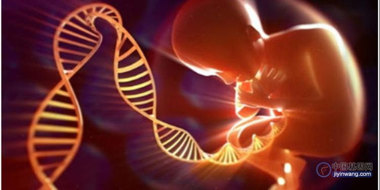 “基因治疗”还是“基因增强”？——公众对基因编辑技术的接受度及其影响因素