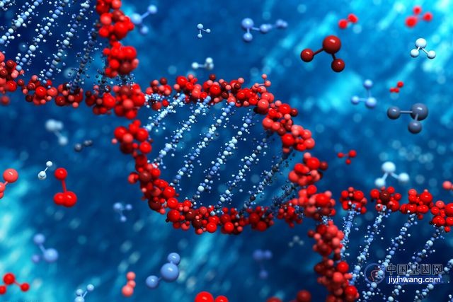 基因有好坏之分吗？Science子刊发现致病基因是人类繁衍的关键