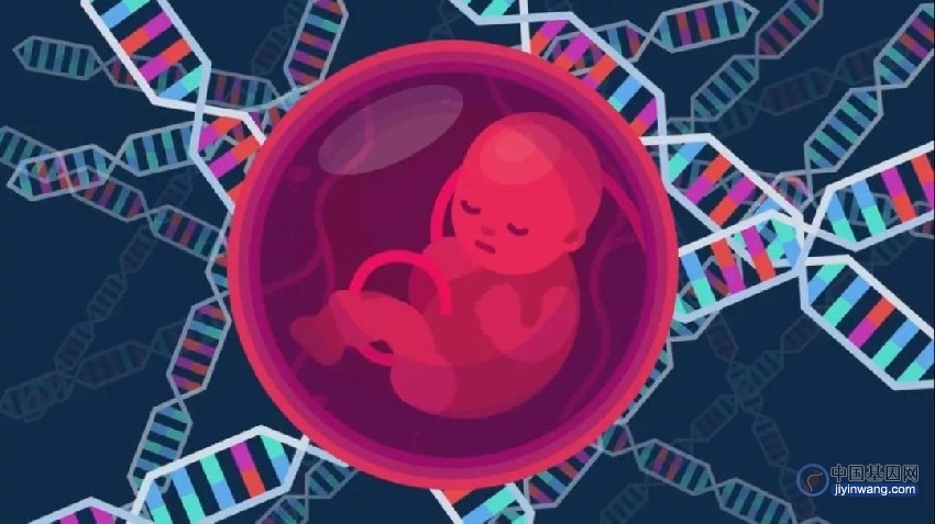 Science子刊：宾大团队利用LNP-mRNA实现胎儿脑内基因编辑