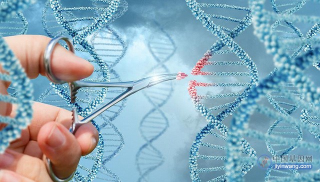 罕见病的基因疗法——人类遗传结构的科学突破