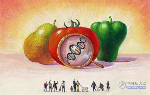 农业农村部：转基因食品会致癌、引起不孕不育等都是谣言