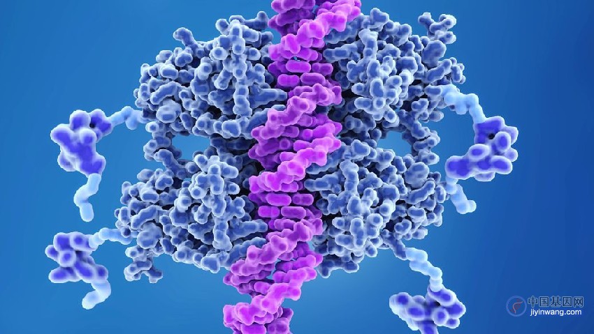 RNA靶向基因激活疗法，NBT经历了爆炸性的增长