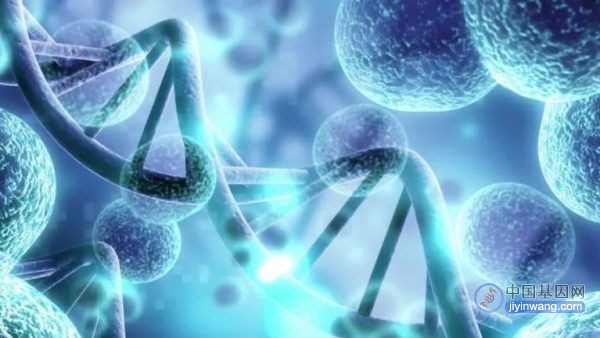 Nat Commun发表人类单细胞长读长全基因组分析新方法，可为单细胞遗传变异提供新见解