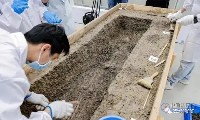 无锡考古发掘成果：首获6000年前古人类DNA基因组数据！