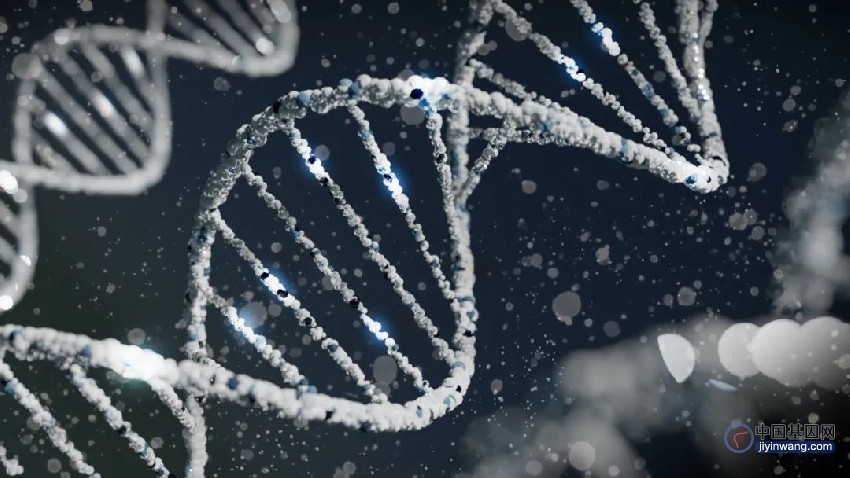 男性基因正在消失？两篇 Nature 揭示人类Y染色体的遗传奥秘……