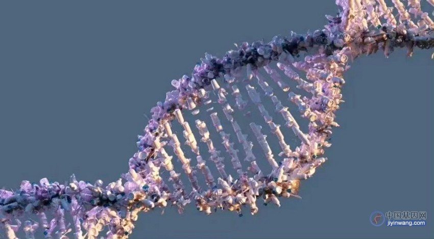 瞬息全碱基：为什么要研究泛基因组？