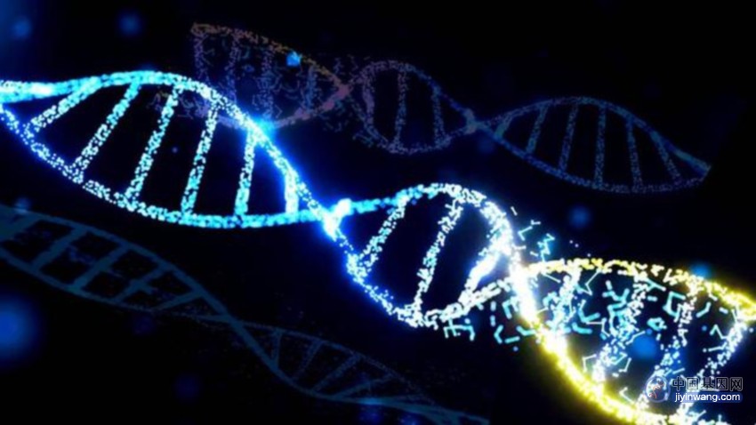 Science：新研究揭示短串联重复序列如何影响基因表达