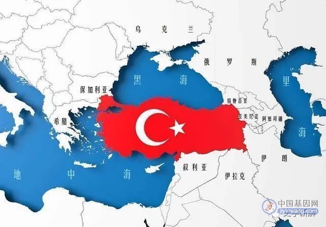 土耳其人的基因接近希腊人，为何自称突厥人后裔？