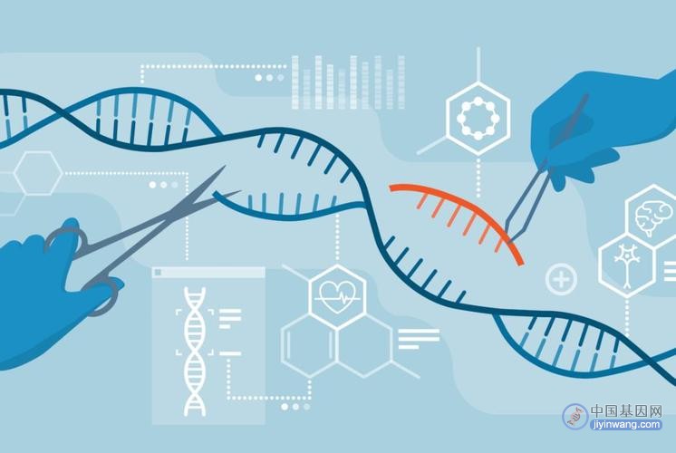 Science：是CRISPR基因编辑，还是自然突变？