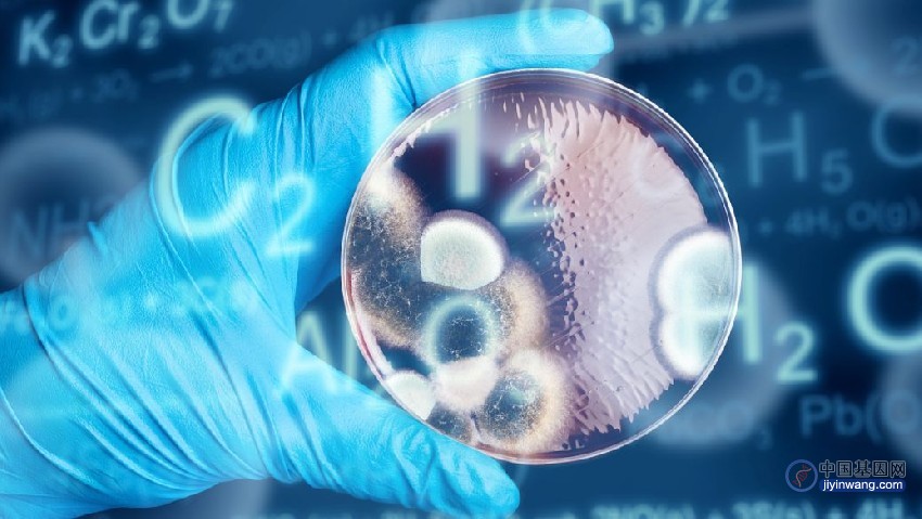 国家药监局：已批准100余个细胞和基因治疗产品开展临床试验