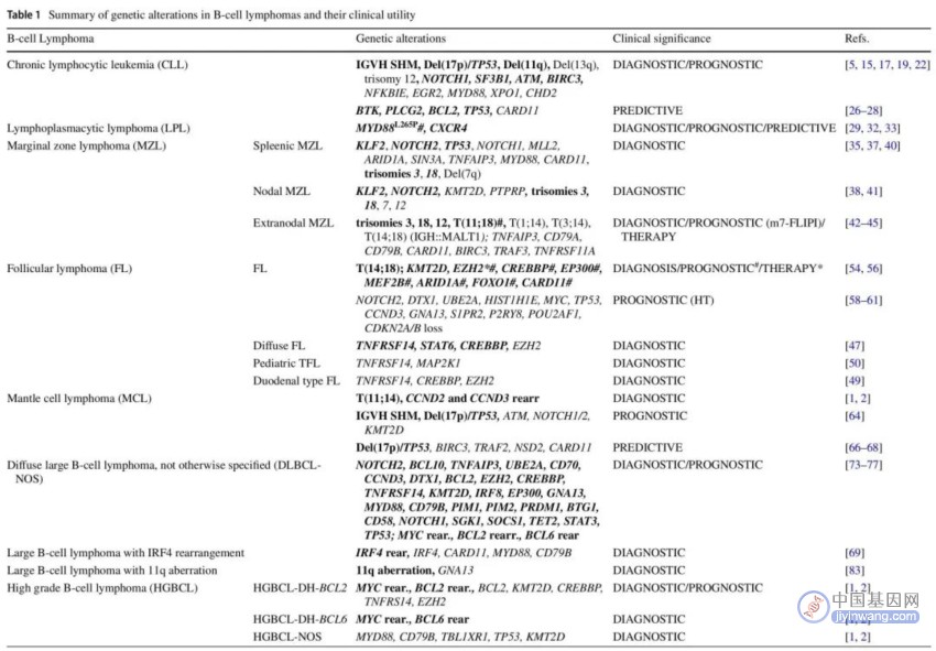 最全综述：淋巴瘤进行哪些基因检测可以辅助诊疗？