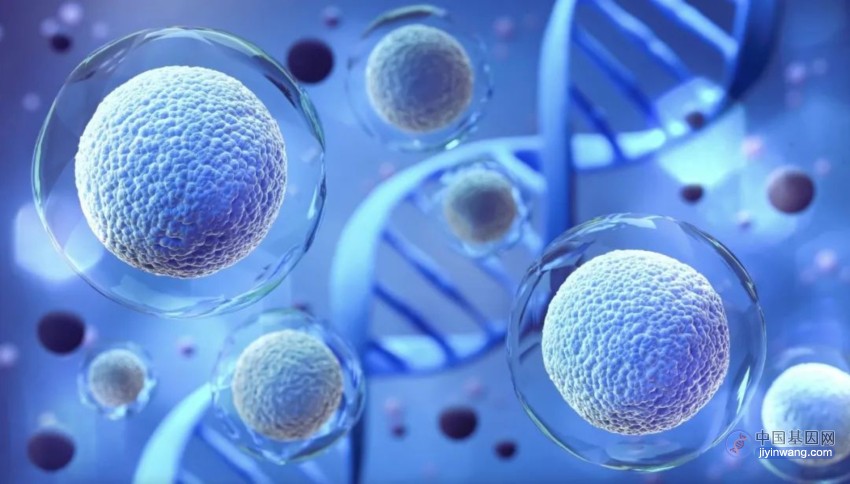 细胞与基因疗法：未来几十年解决六大挑战的路线图