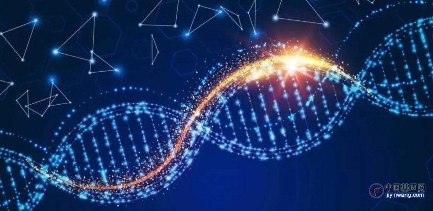迄今最大全基因组测序数据公布！产业链受益上市公司梳理