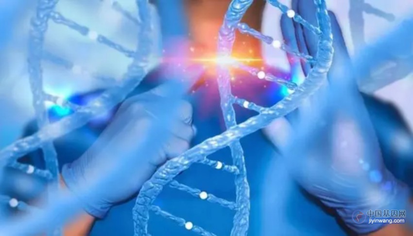 基因疗法展现遗传性耳聋治疗潜力，国内多个团队竞相开发候选药物