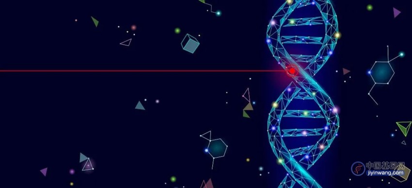 Cell重磅发现：新型DNA调控元件——促进子，促进增强子对基因表达的激活