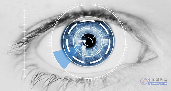 Cell：大规模研究揭示与青光眼有关的基因变异