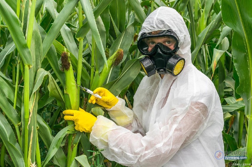 中国农业生物技术学会发布转基因十大谣言真相