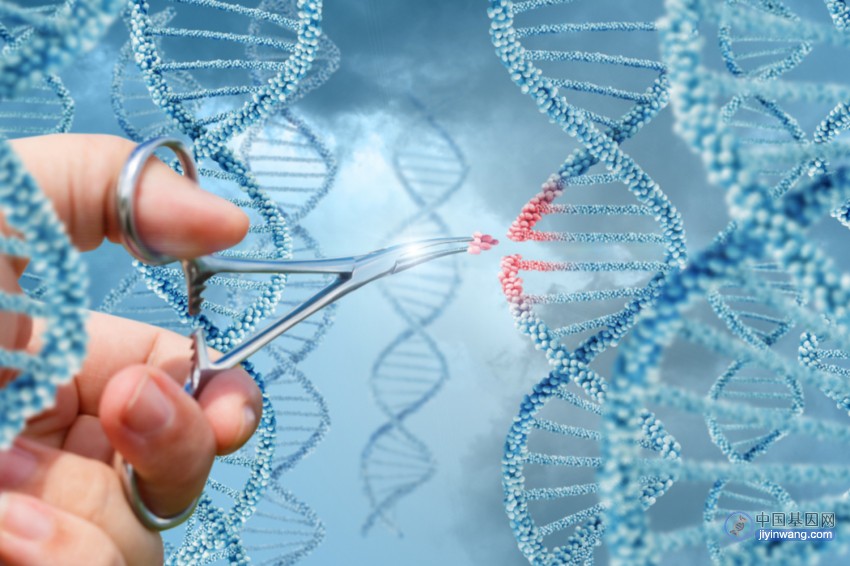2023年基因治疗药物回顾盘点，这些基因疗法获批上市！