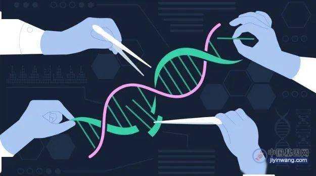 生物科技改变命运？300万美元的基因疗法，美国医保“扛不住”