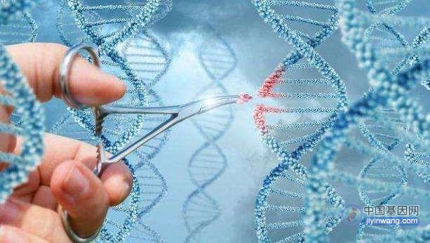 基因科普：基因疗法发展历程