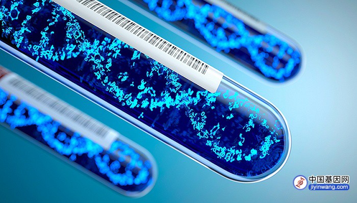 基因测序的硬件往事：基因测序仪的世界战斗史