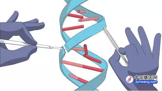 “基因魔剪”不灵了？96%的人对CRISPR存在预先免疫力