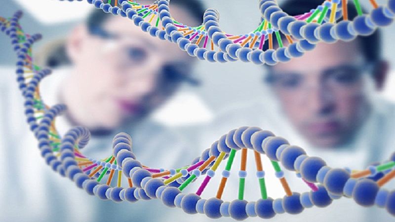 MIT开发了一种新的合成基因控制系统