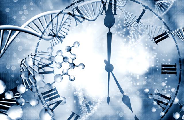 基因研究发现：动物细胞故意破坏DNA链，然后修复它们，这是何苦？