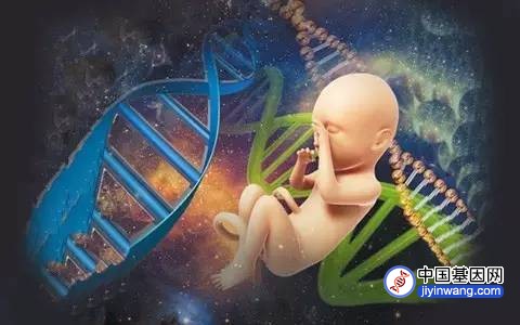 英国将开展新生儿基因组计划，筛选约200种遗传病，引发伦理担忧