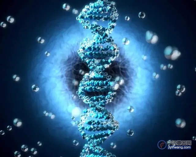 新技术追踪人类基因组 暴露其有害突变的进化弱点