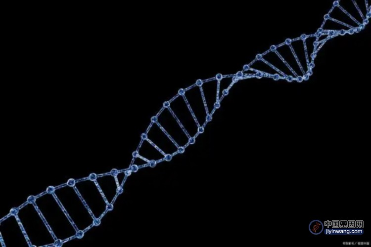基因有哪些特点：可复制性、可变异性、可编码性