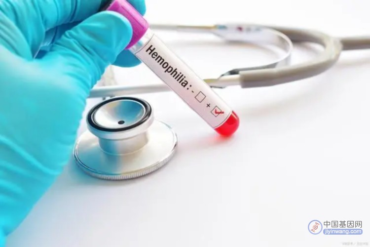 美国FDA批准Hemgenix：首个B型血友病基因疗法