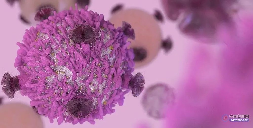 Cell：新型AAV变体，高效靶向T细胞，加速基因工程T细胞疗法开发