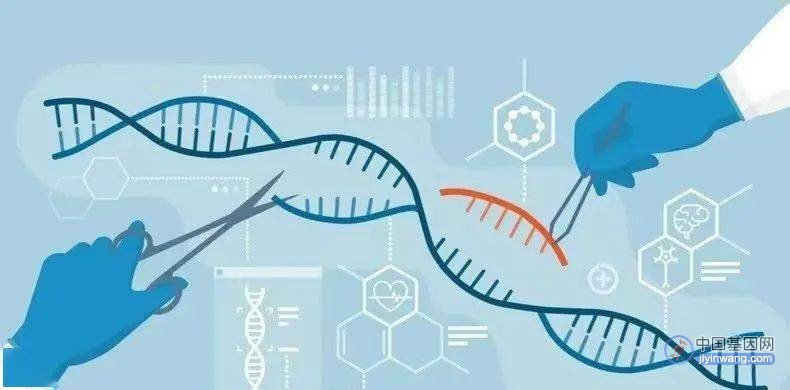 全球农业基因编辑技术发展现状，越来越商品化