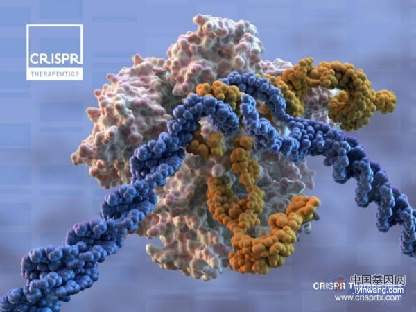 全球首个CRISPR-Cas9基因编辑疗法exa-cel要上市了