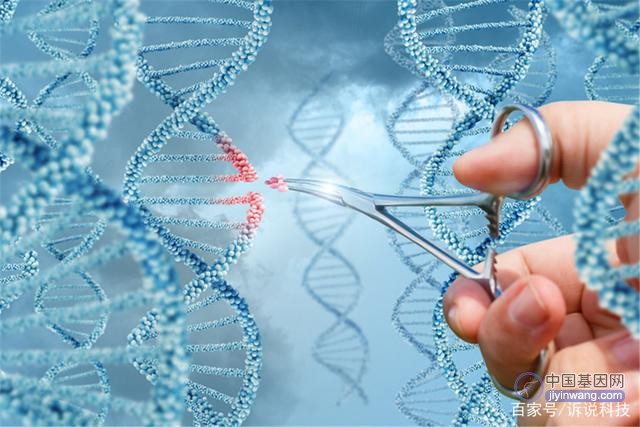 从治疗到预防，基因编辑技术的边界在哪？