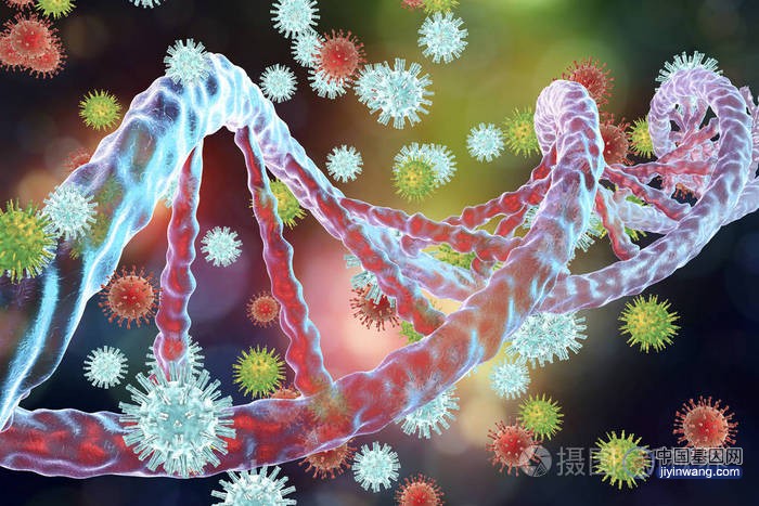 基因组中的古老病毒DNA如何影响着疾病和发育