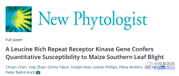 西北农林科技大学杨琴课题组合作发现玉米小斑病感病新基因