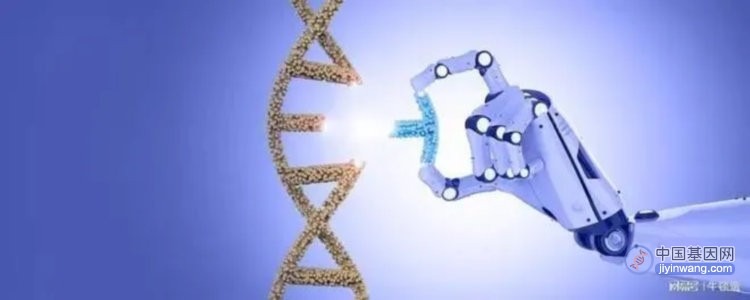 AI算法加持下，CRISPR-Cas9基因编辑技术如虎添翼