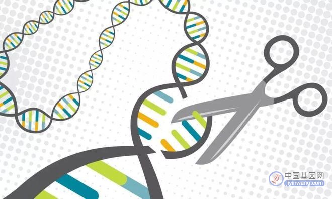 未来医学新方向，基因治疗时代要来了吗？