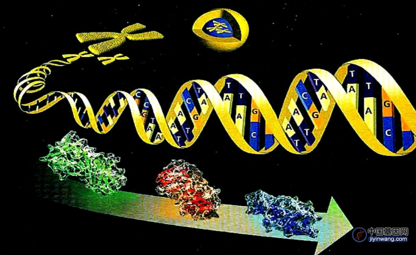 Nature 子刊：高彩霞团队开发可预测的精细下调目标基因蛋白表达的新方法
